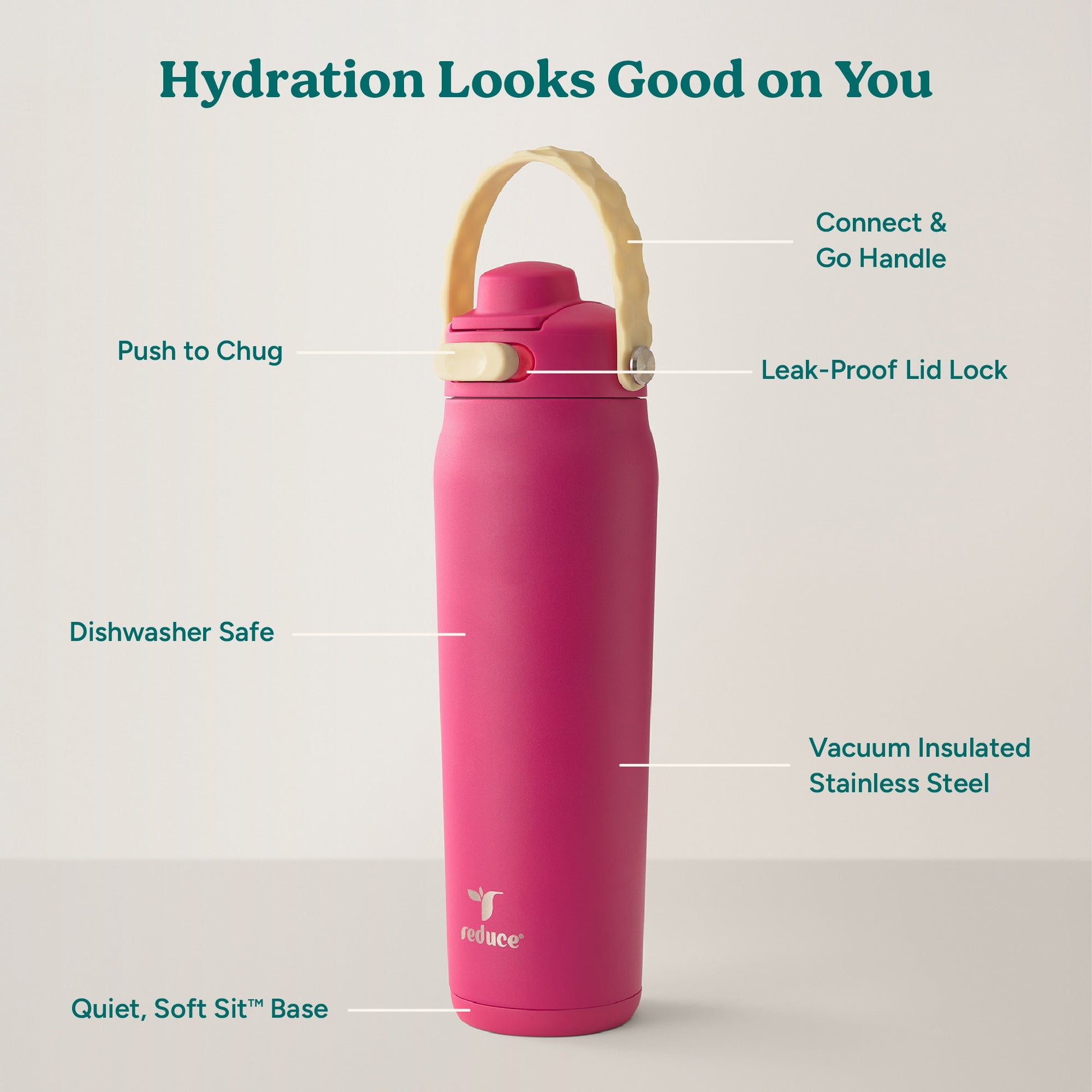 aura-26-oz-w4 Aura_26oz_DragonFruit_PDP_Infographic_2-03.jpg