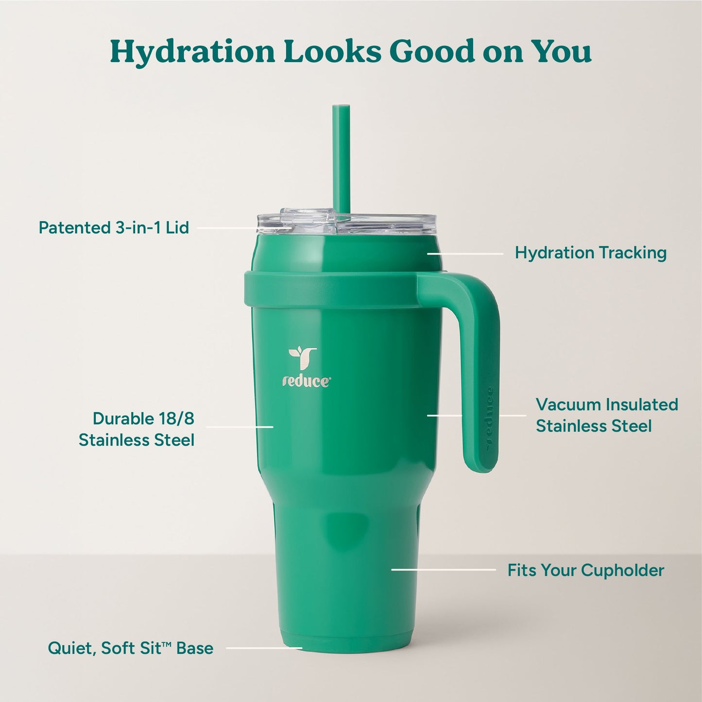 cold1-40-oz-b6 Cold1_40oz_PalmLeaf_Infographic_2.jpg