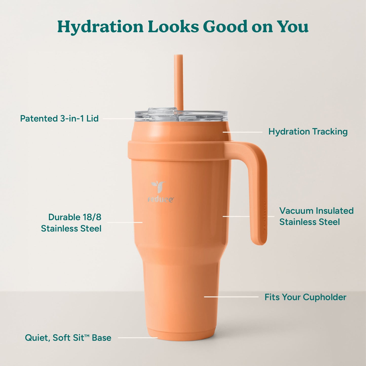 cold1-40-oz-b6 Cold1_40oz_Papaya_Infographic_2.jpg