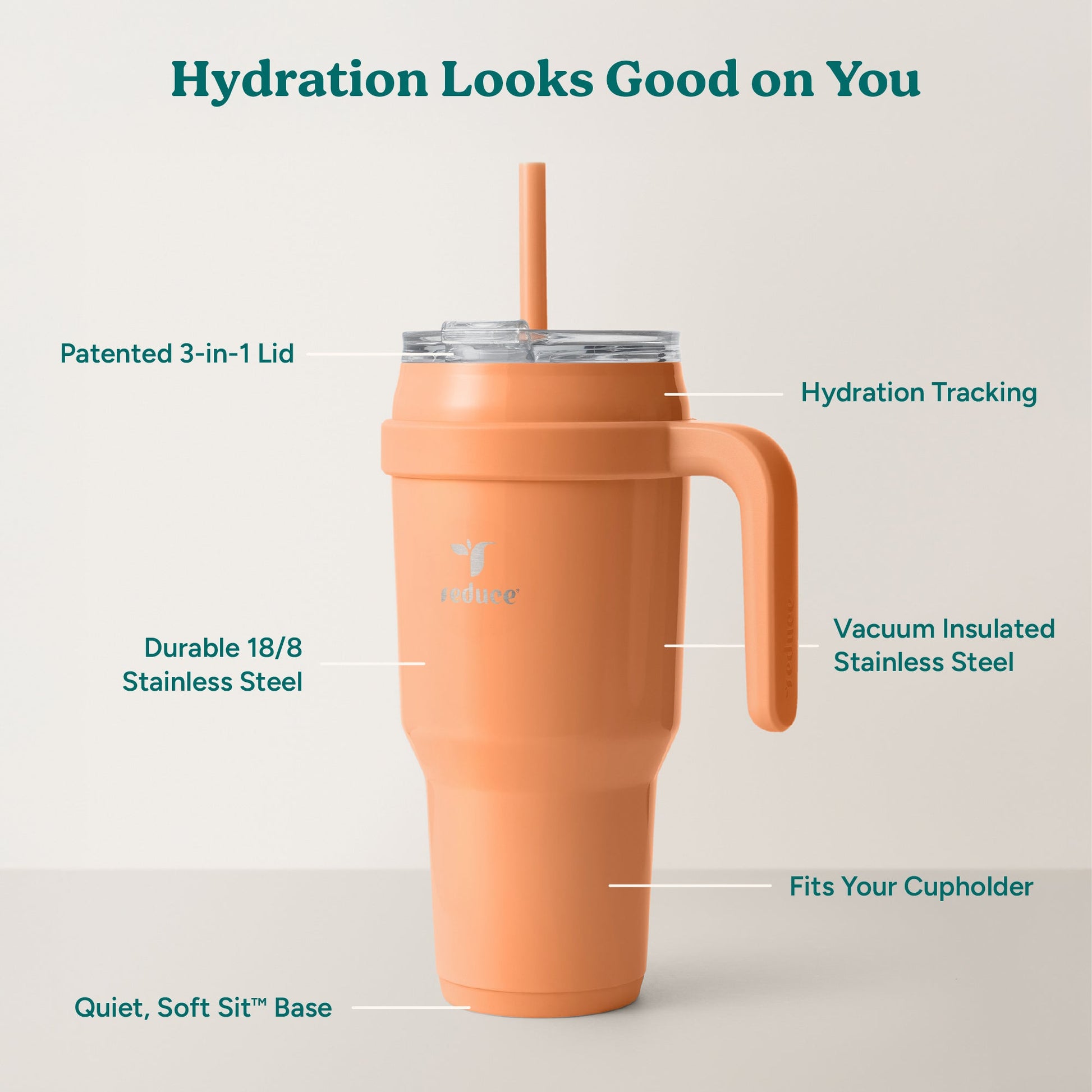 cold1-40-oz-b6 Cold1_40oz_Papaya_Infographic_2.jpg