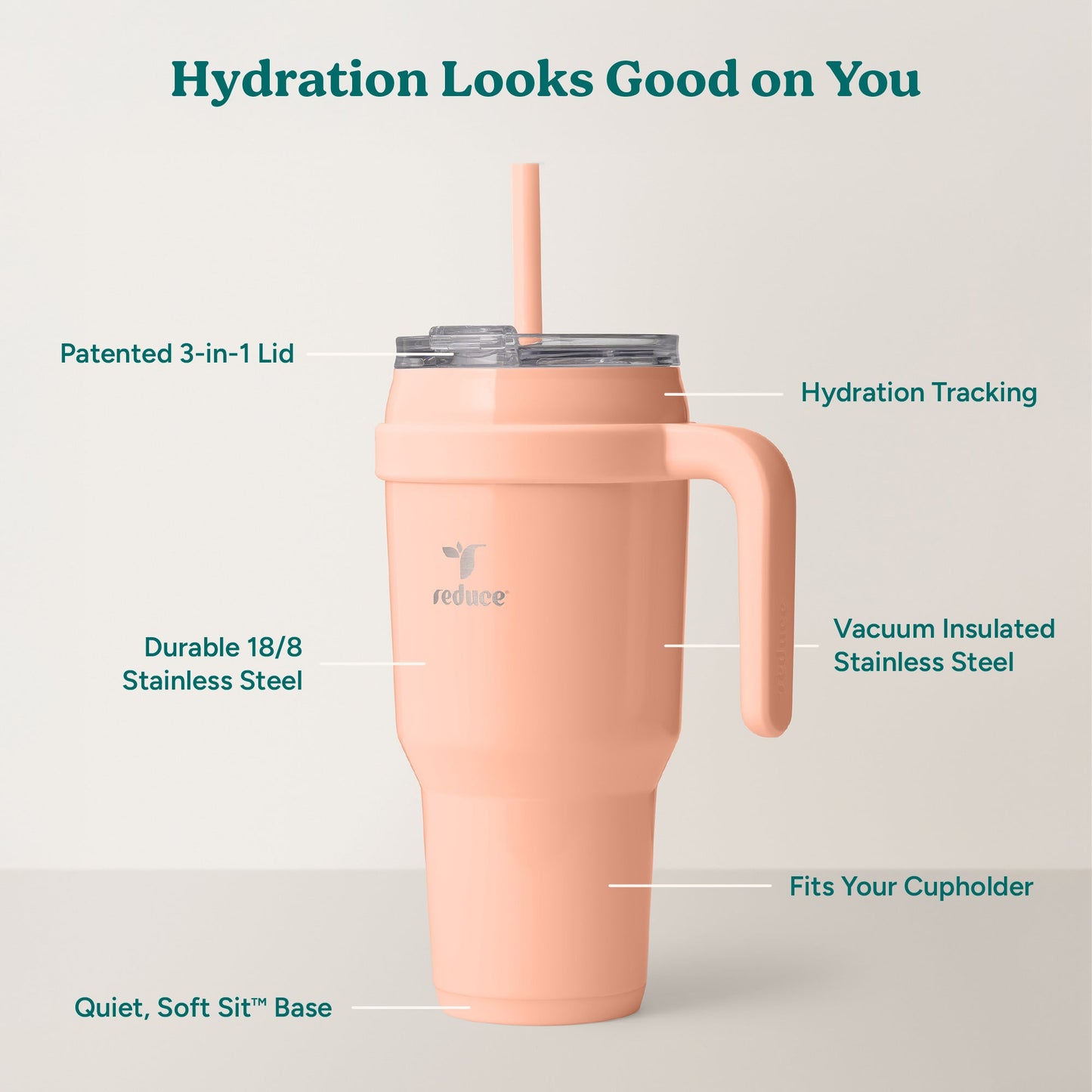 cold1-40-oz-b6 Cold1_40oz_Sedona_Infographic_2.jpg